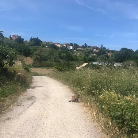 Per Rilassante Immerso Nel * Miglianico