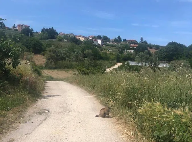 Per Rilassante Immerso Nel * Miglianico